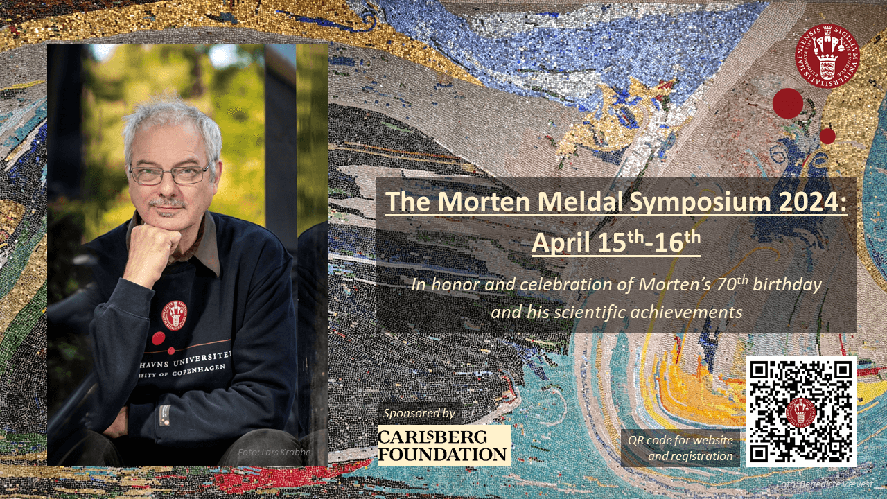 Morten Meldal Symposium 2024