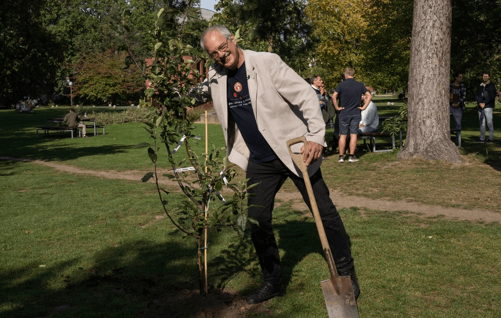 Morten Meldal sørgede selv for at dække træets rødder til med jord. ​Foto: Bettina Illemann Larsen